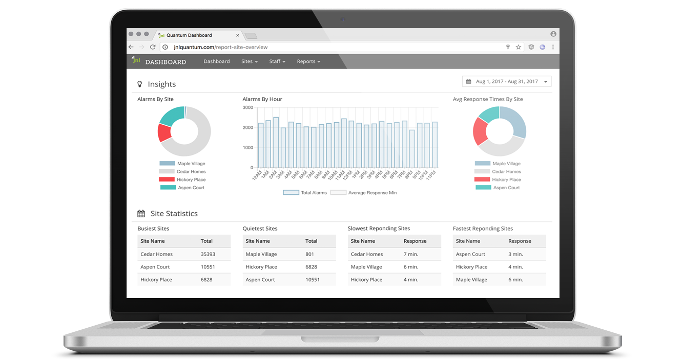 Insights Call System Report on Laptop